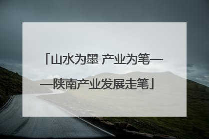 山水为墨 产业为笔——陕南产业发展走笔