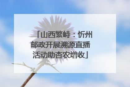山西繁峙：忻州邮政开展溯源直播活动助杏农增收