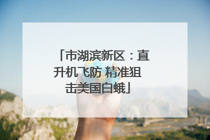 市湖滨新区：直升机飞防 精准狙击美国白蛾
