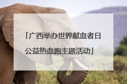 广西举办世界献血者日公益热血跑主题活动