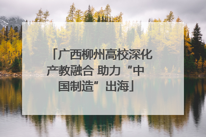 广西柳州高校深化产教融合 助力“中国制造”出海