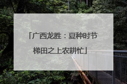 广西龙胜：夏种时节 梯田之上农耕忙