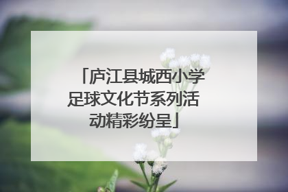 庐江县城西小学足球文化节系列活动精彩纷呈