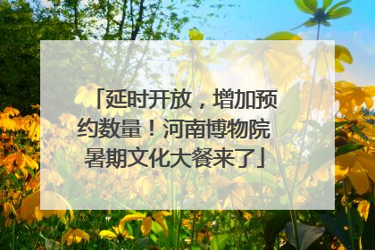 延时开放，增加预约数量！河南博物院暑期文化大餐来了