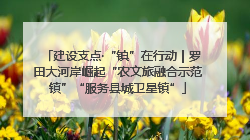 建设支点·“镇”在行动｜罗田大河岸崛起“农文旅融合示范镇”“服务县城卫星镇”