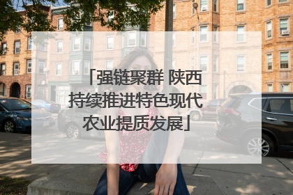 强链聚群 陕西持续推进特色现代农业提质发展
