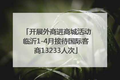 开展外商进商城活动 临沂1-4月接待国际客商13233人次