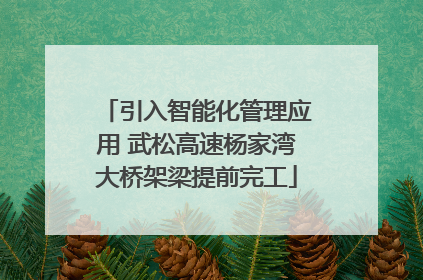 引入智能化管理应用 武松高速杨家湾大桥架梁提前完工