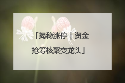 揭秘涨停｜资金抢筹核聚变龙头