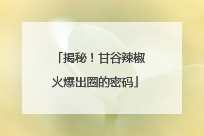 揭秘！甘谷辣椒火爆出圈的密码