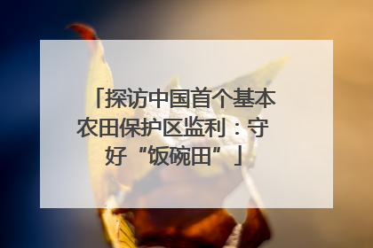探访中国首个基本农田保护区监利：守好“饭碗田”