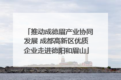 推动成德眉产业协同发展 成都高新区优质企业走进德阳和眉山