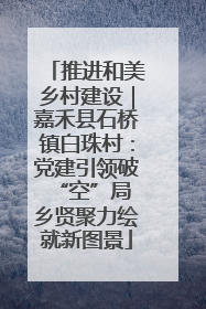 推进和美乡村建设｜嘉禾县石桥镇白珠村：党建引领破“空”局 乡贤聚力绘就新图景
