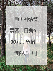急！神农架景区：日薪500元，急招“野人”！