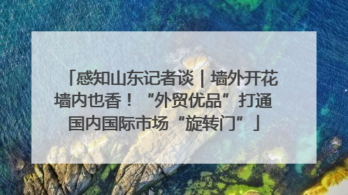 感知山东记者谈｜墙外开花墙内也香！“外贸优品”打通国内国际市场“旋转门”