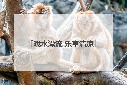 戏水漂流 乐享清凉