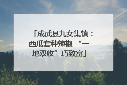 成武县九女集镇：西瓜套种辣椒 “一地双收”巧致富