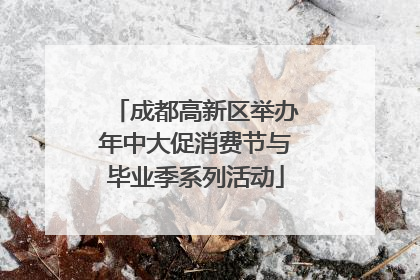 成都高新区举办年中大促消费节与毕业季系列活动
