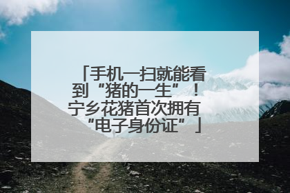 手机一扫就能看到“猪的一生”！宁乡花猪首次拥有“电子身份证”