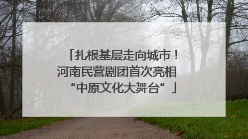 扎根基层走向城市！河南民营剧团首次亮相“中原文化大舞台”