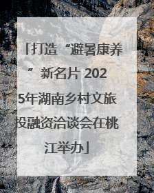 打造“避暑康养”新名片 2025年湖南乡村文旅投融资洽谈会在桃江举办
