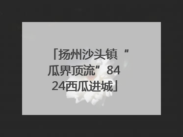 扬州沙头镇“瓜界顶流”8424西瓜进城