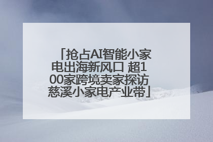 抢占AI智能小家电出海新风口 超100家跨境卖家探访慈溪小家电产业带