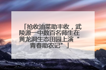抢收油菜助丰收，武陵源一中数百名师生在黄龙洞生态田园上演“青春助农记”
