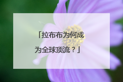 拉布布为何成为全球顶流？