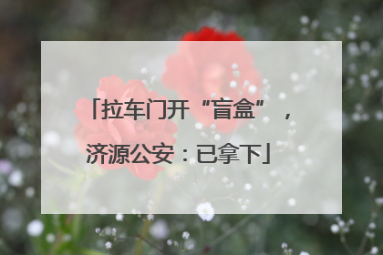 拉车门开“盲盒”，济源公安：已拿下