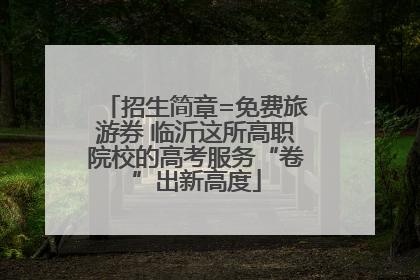 招生简章=免费旅游券 临沂这所高职院校的高考服务“卷”出新高度