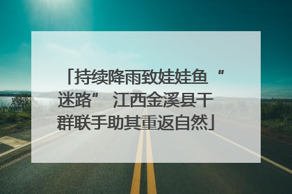 持续降雨致娃娃鱼“迷路” 江西金溪县干群联手助其重返自然