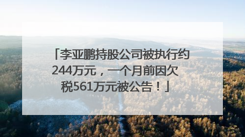 李亚鹏持股公司被执行约244万元，一个月前因欠税561万元被公告！