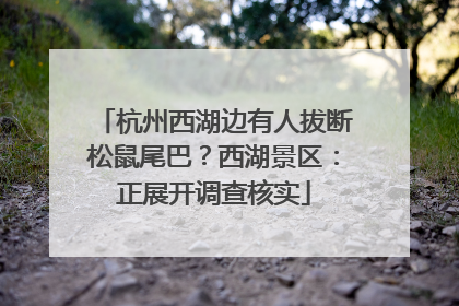 杭州西湖边有人拔断松鼠尾巴？西湖景区：正展开调查核实