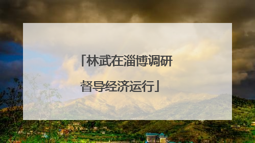 林武在淄博调研督导经济运行
