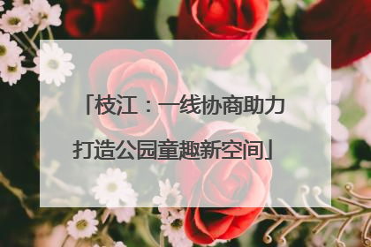 枝江：一线协商助力打造公园童趣新空间