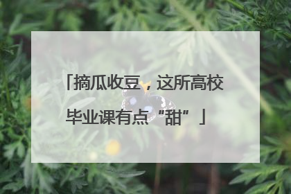 摘瓜收豆，这所高校毕业课有点“甜”
