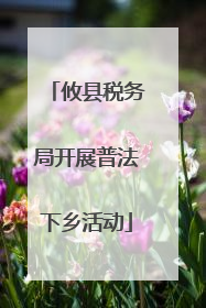 攸县税务局开展普法下乡活动