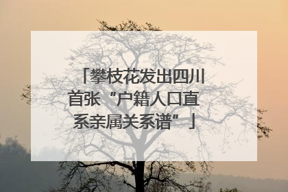 攀枝花发出四川首张“户籍人口直系亲属关系谱”