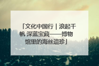 文化中国行｜浪起千帆 深蓝宝藏——博物馆里的海丝遗珍