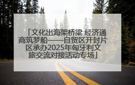 文化出海架桥梁 经济通商筑梦船——自贸区开封片区承办2025年匈牙利文旅交流对接活动专场