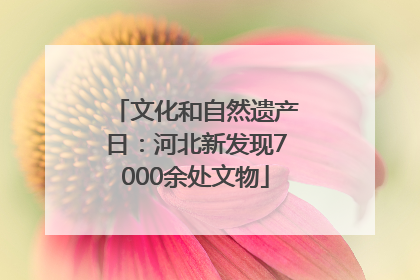 文化和自然遗产日：河北新发现7000余处文物