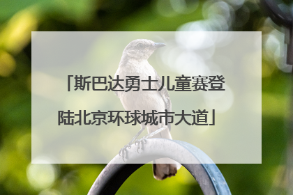 斯巴达勇士儿童赛登陆北京环球城市大道