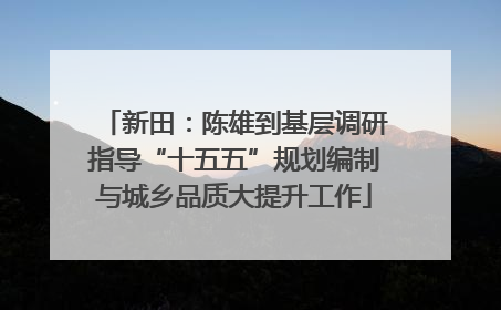 新田：陈雄到基层调研指导“十五五”规划编制与城乡品质大提升工作