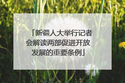 新疆人大举行记者会解读两部促进开放发展的重要条例