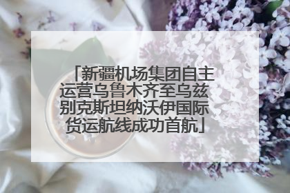 新疆机场集团自主运营乌鲁木齐至乌兹别克斯坦纳沃伊国际货运航线成功首航