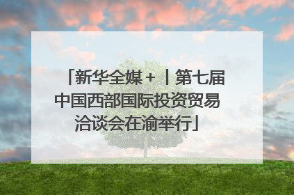 新华全媒＋丨第七届中国西部国际投资贸易洽谈会在渝举行
