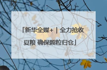 新华全媒+｜全力抢收夏粮 确保颗粒归仓