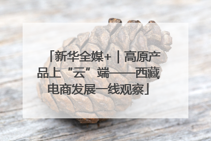 新华全媒+｜高原产品上“云”端——西藏电商发展一线观察