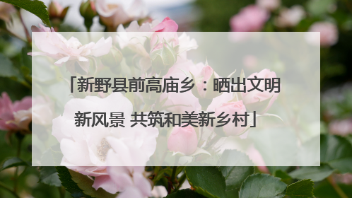 新野县前高庙乡：晒出文明新风景 共筑和美新乡村